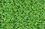 Artificial Tiny Green Leaves Texture Stock Photo