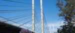 View Of The Eleanor Schonell Bridge Stock Photo