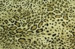 Safari Style Fabric Stock Photo