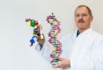 Biologist Shows Dna And Mrna Model Stock Photo