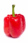 Fresh Red Bell Pepper Stock Photo