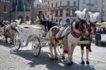 Carriage And Horses In Krakow Stock Photo