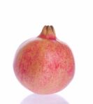 Pomegranate Stock Photo