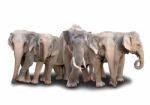 Group Of Asia Elephant Stock Photo