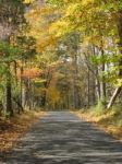 Autumn Foliage Tunnel On Bucks County Pa Road Slight Downhill Stock Photo