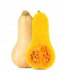 Butternut Squash Isoalted On The White Stock Photo