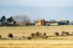 Harty Island, Kent/uk - January 17 : View Of A Farm On  Harty Is Stock Photo