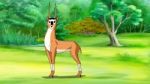 Antelope (gazelle) Image Stock Photo