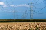 Fields And Power Poles Stock Photo