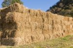 Field With Bales Of Hay Stock Photo