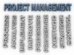 3d Image Project Management Issues Concept Word Cloud Background Stock Photo