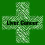 Liver Cancer Represents Poor Health And Afflictions Stock Photo