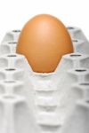 Single Egg In Container Stock Photo