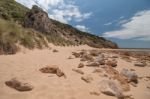 Isolated Beach Stock Photo