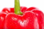 Fresh Red Bell Pepper Stock Photo