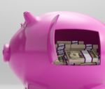 Notes In Piggy Shows Savings And Investment Stock Photo