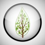 Tree In Circle Frame. Icon Concept Stock Photo