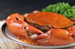 Close Up Singapore Chilli Mud Crab Stock Photo