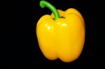 Yellow Paprika Stock Photo