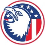 American Eagle Head Circle Retro Stock Photo