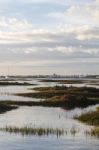 Natural Ria Formosa Marshlands Stock Photo