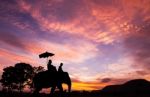 Silhouette Elephant With Tourist At Sunset Stock Photo