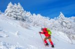 Woman In The Winter Journey With A Backpack On  Mountains Stock Photo