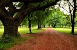 Road In A Garden Stock Photo