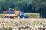 Farmer On Tractor Harvesting Corn In Fall Stock Photo