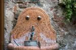 Sparrow Drinking From A Tap In Verona Stock Photo