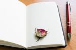 Open Notebook With Dry Rose On Wooden Table With Copy Space Stock Photo