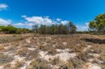 Vegetation On The Sand Dunes Of Ria Formosa Marshlands Stock Photo