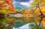 Baekyangsa Temple In Autumn,naejangsan Park In Korea Stock Photo