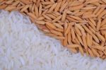 Rice Grain Stock Photo