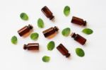 Mint Essential Oil In A Glass Bottle With Leaves On White Backgr Stock Photo