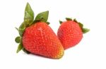 Strawberry Stock Photo