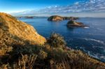 Coromandel Coastline Stock Photo