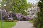 Spring Scene In Garden Stock Photo