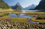 Milford Sound, New Zealand Stock Photo