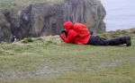 Photographing Puffins Stock Photo