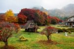 Maple Corridor At Autumn, Kawaguchiko Stock Photo