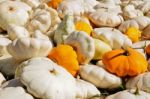 Group Of Pumpkins Stock Photo