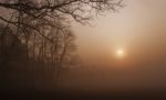 Misty Landscape Stock Photo