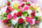 Blur Background Colorful Flower Stock Photo