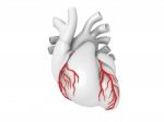 Illustration Of Heart, Medical Concept Stock Photo Stock Photo