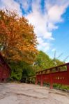 Autumn Tree And Red Wooden Bridge With Stone Laid Pathway At The Stock Photo