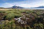 Snow Capped Parinacota Volcano Reflected In Lake Chungara, Chile Stock Photo