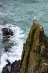 Rocky Coastline At Bude Stock Photo