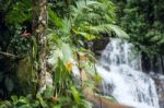 Beautiful White Stone's Waterfall In Paraty, Rio De Janeiro Stat Stock Photo