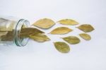 Dried Bay Leaves In Glass Jar On White Wooden Background Stock Photo